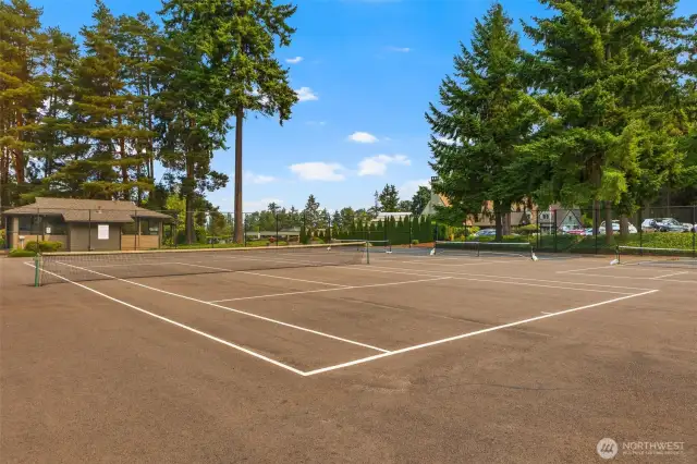 Tennis Court