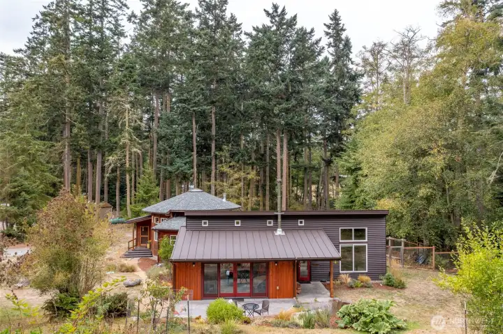 Welcome to Lucky Dog Lane--your oasis in the forest.