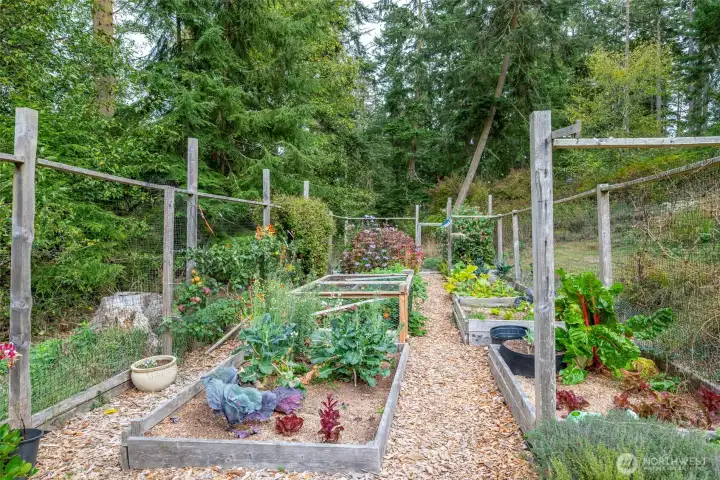The fenced garden is amazing!