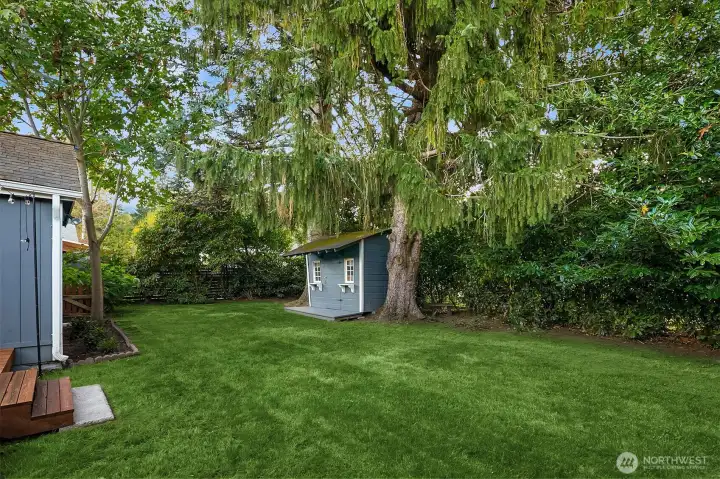 View of the backyard and storage shed.