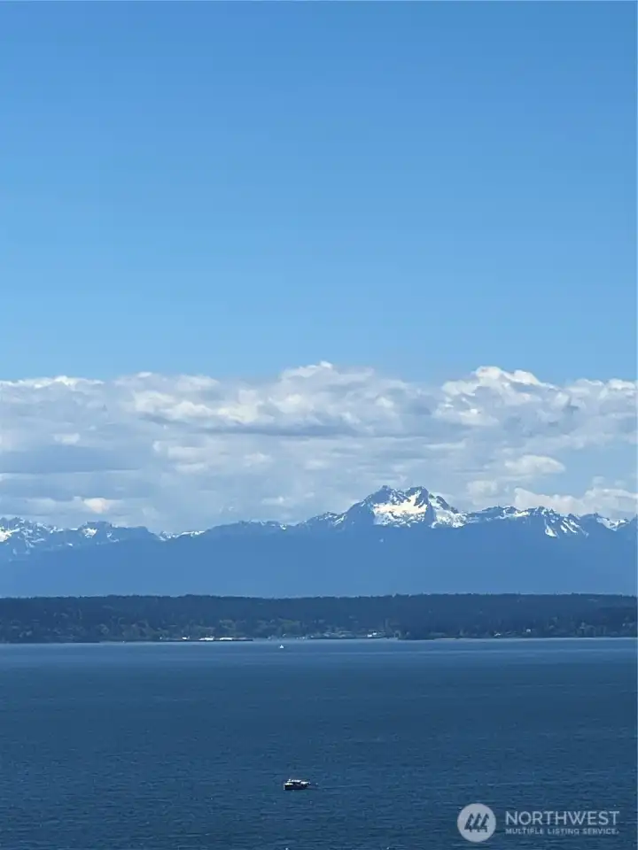 Olympic views