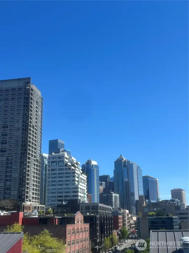 City Views
