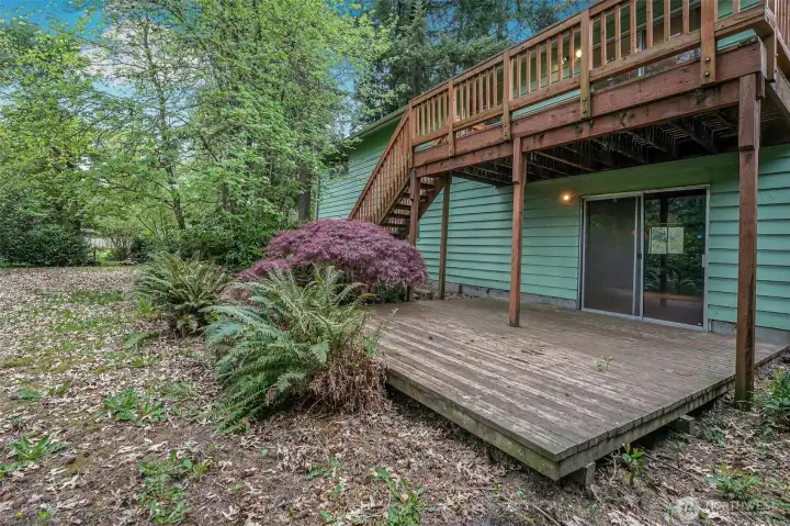 Lower Deck