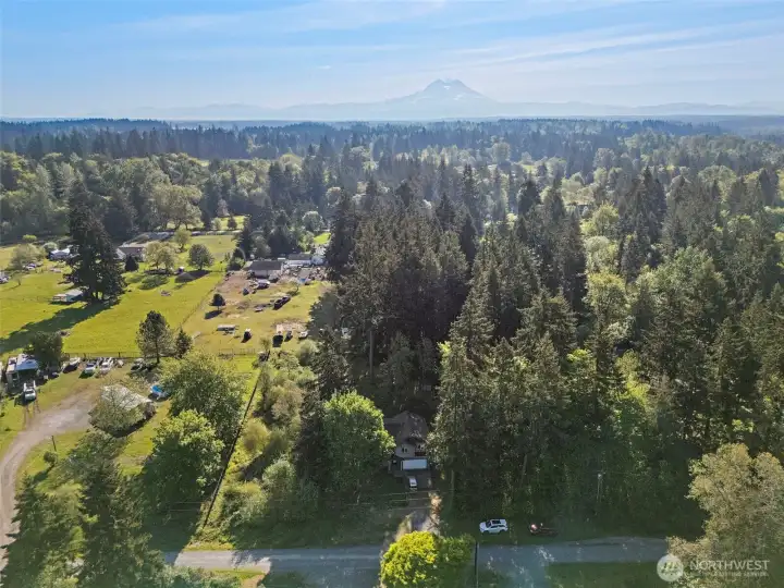 Community Drone View