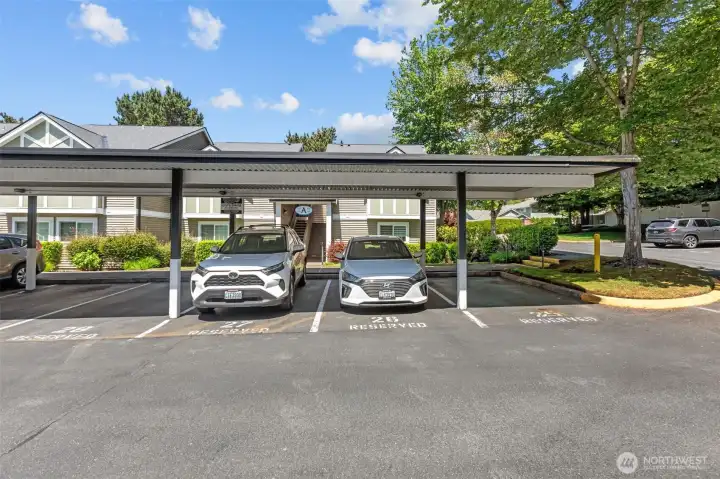 End-parking spot in carport, directly in front of your unit