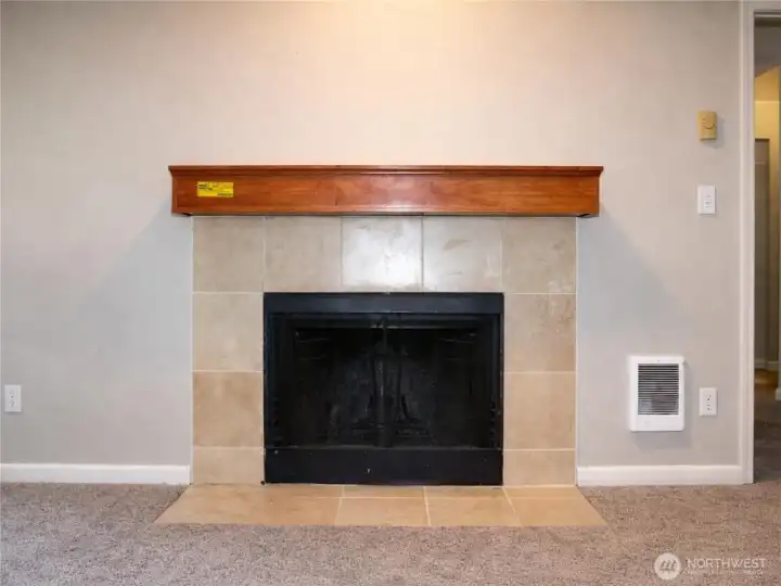 Fireplace Fireplace