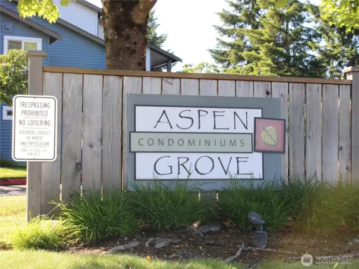 Aspen Grove Aspen Grove