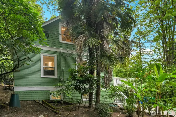 Private yard with garden space & mature landscaping including lush palm trees Private yard with garden space & mature landscaping including lush palm trees