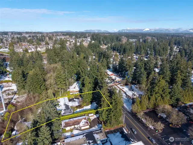 Tucked in the trees, backing to Little Soos, across from the Covington Library, and minutes to anywhere -- this custom home is ONE OF A KIND.