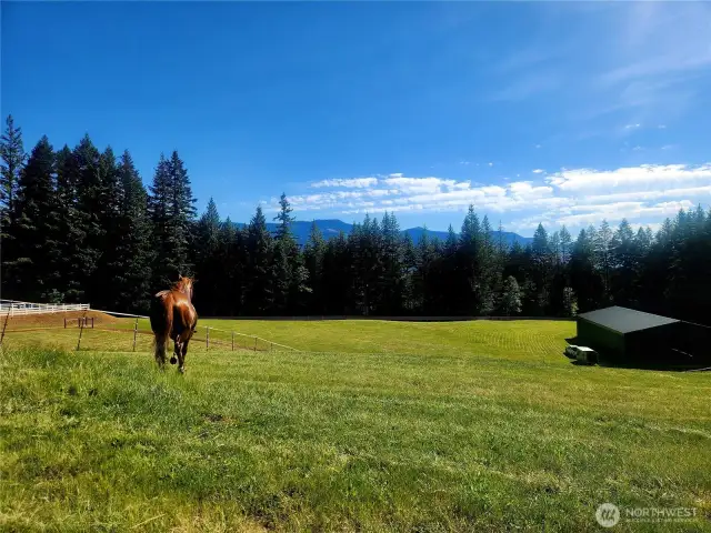 Room for your horses to run free over the rolling pastures.