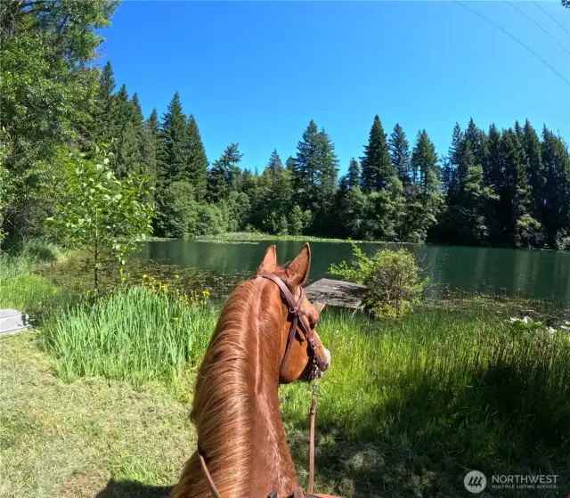 Enjoy a view of the peaceful lake on horseback~
