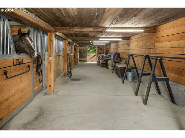 Noble Stalls