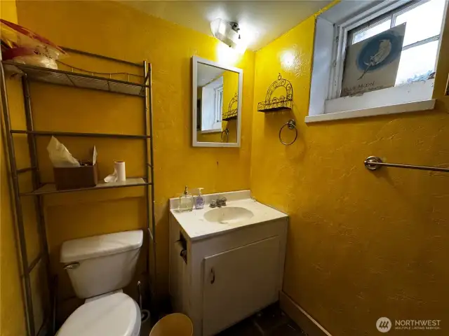 Basement Bathroom