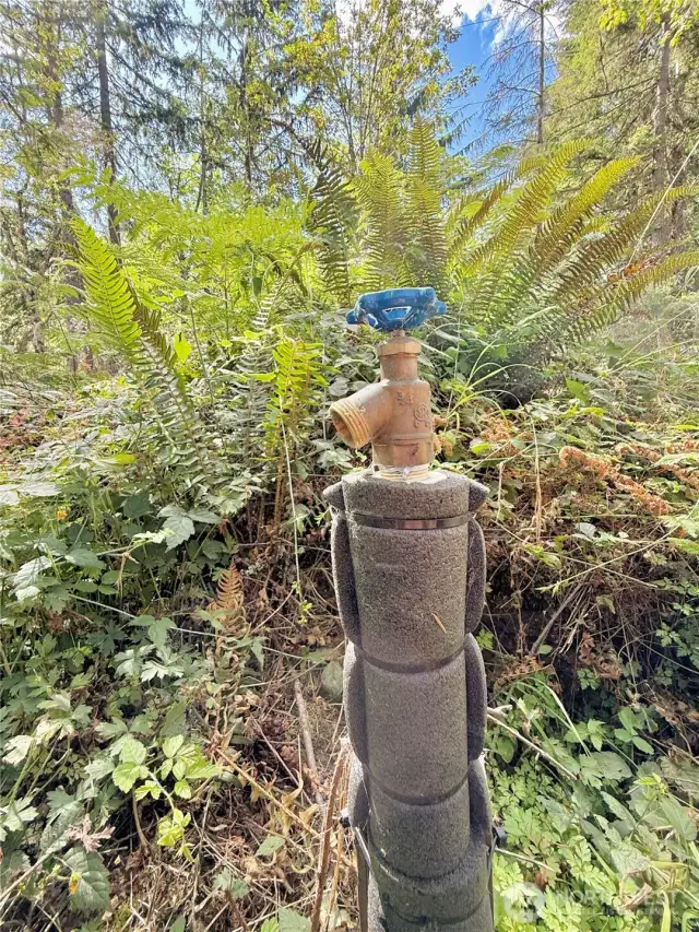 Water