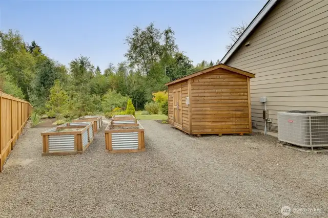 Side yard with cedar shed and raised garden boxes.