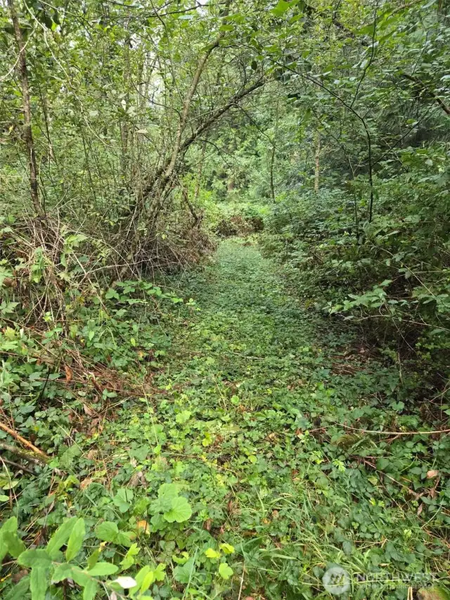Unmarked trail