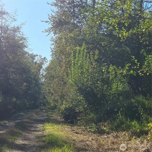 Easement driveway