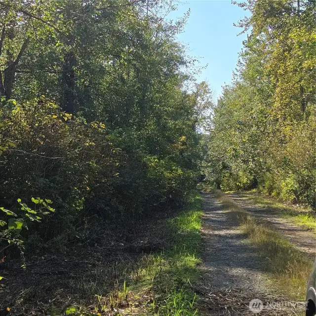 Easement driveway