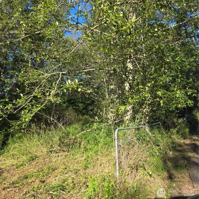 Eastern gate of easement driveway