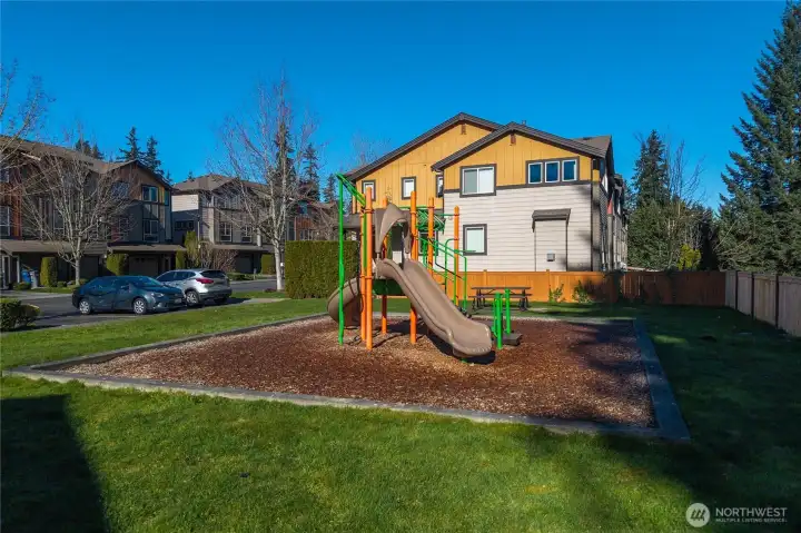 Community play ground.