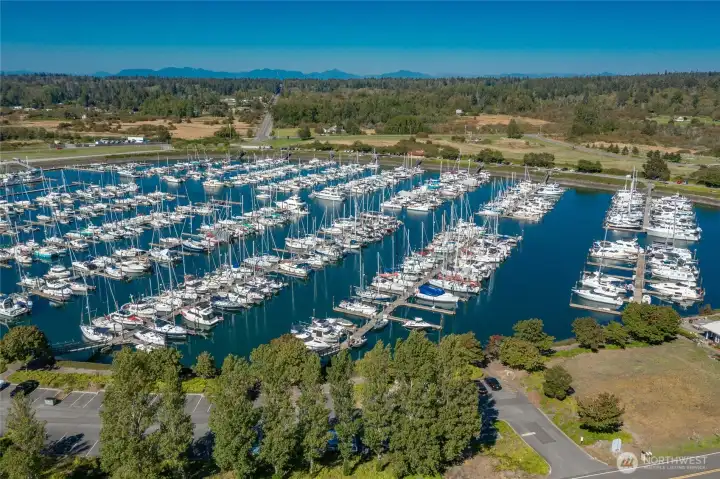 Walk to your boat! Walk to your boat!