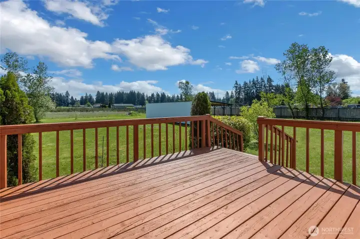 Deck overlooking serene backyard