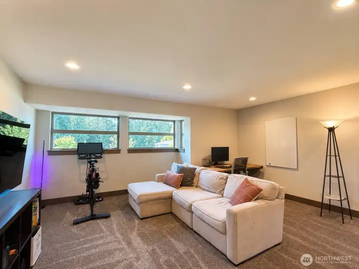 Media / Flex Room