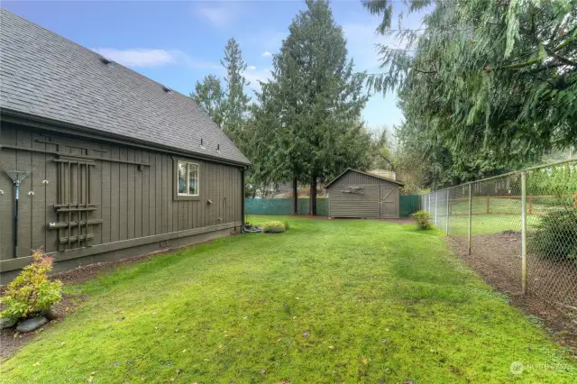 Giant side yard looking toward storage/garden shed.