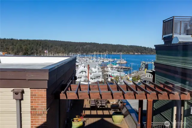 View from Deck