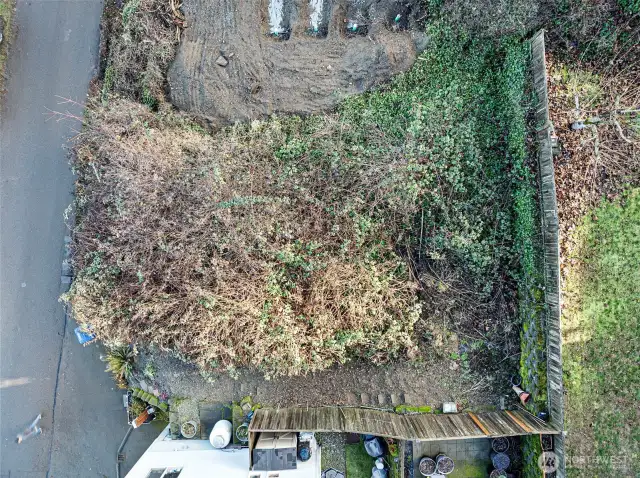 Watch your step if you decide to walk the property. Once up to the highest elevation, you will be able to see the view you will be purchasing!