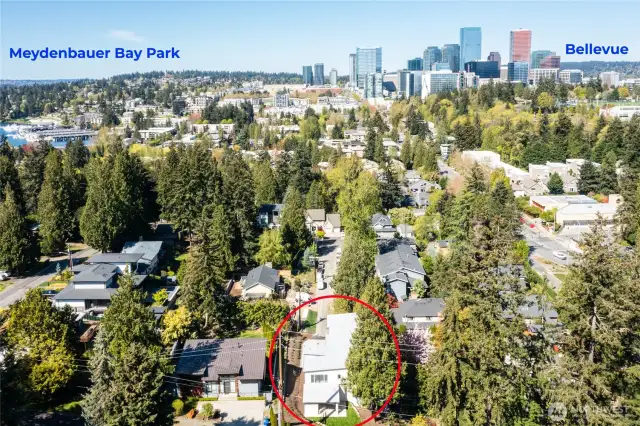 Drone shot showing downtown Bellevue and Meydenbaur Bay Park.
