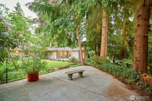 Quiet and private property surrounded by large Evergreens.
