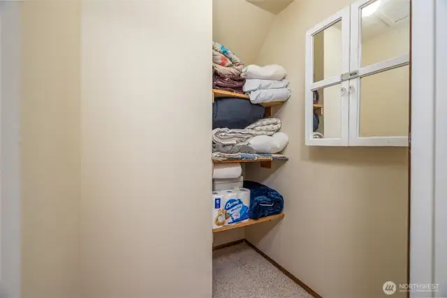 This home has tons of storage, in the rooms and hallways of the home, including access to a large storage space in the attic.
