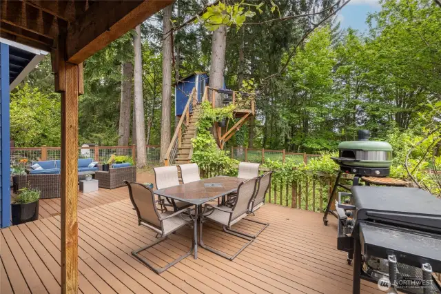 Plenty of space for outdoor grilling