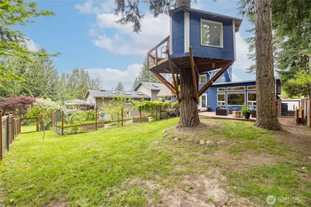 The backyard is huge and has direct access to Whatcom Falls Park trail system