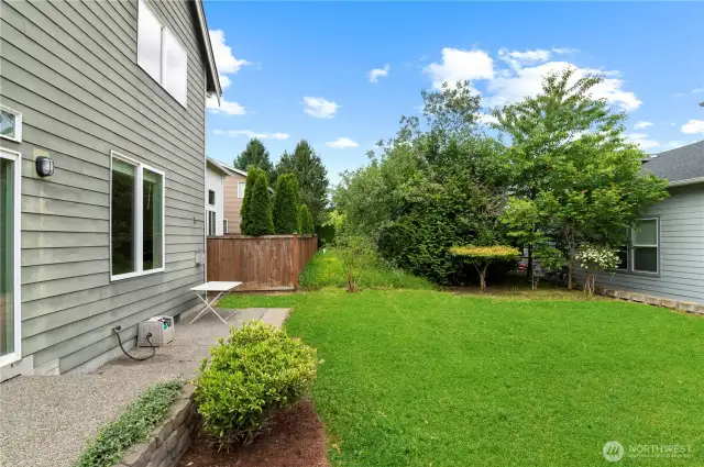Grass is photoshopped to show the potential!