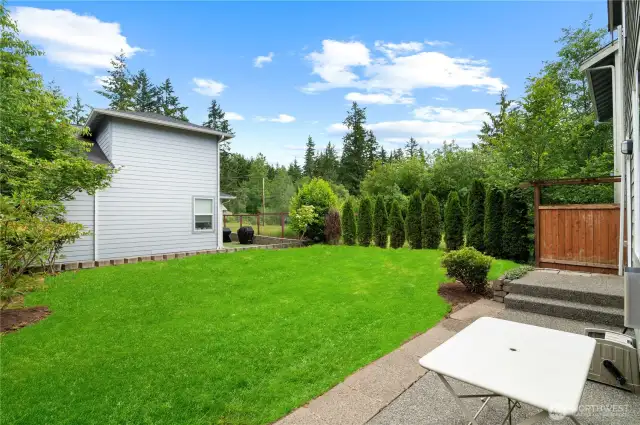 Grass is photoshopped to show the potential!