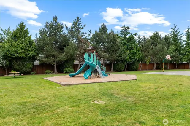1st neighborhood park/basketball court off 12 Dr SE