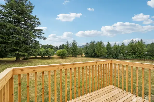 Private Deck - Walkout directly from your Kitchen!