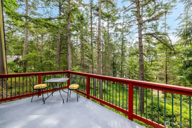 Second level deck off of primary bedroom