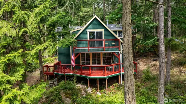 Home sits in a lovely grove of fir trees