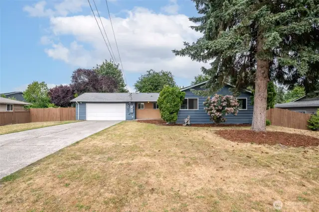 Huge front yard!