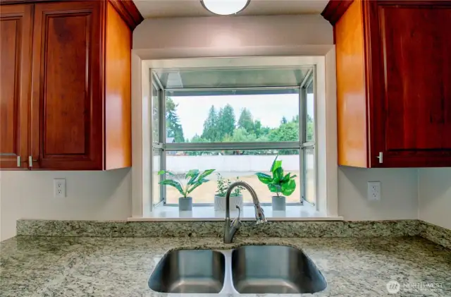 Sink View
