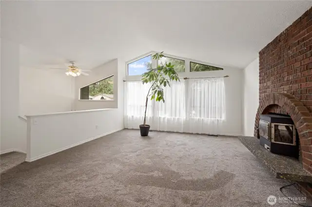 This Vaulted ceiling living room is so bright.