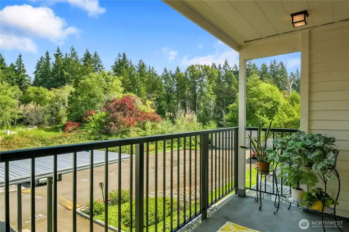 Spacious covered deck for year round use, and beautiful sylvan views