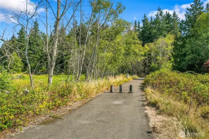 View of short path to Goff Creek Reserve
