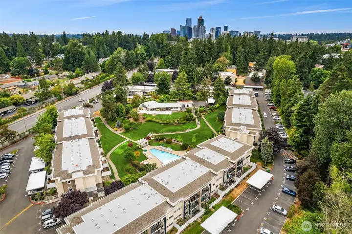 So close to downtown Bellevue, you can almost touch it!