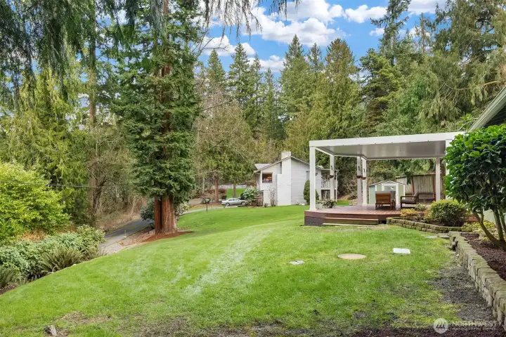 Another back yard view - this, from the West side of the lot.