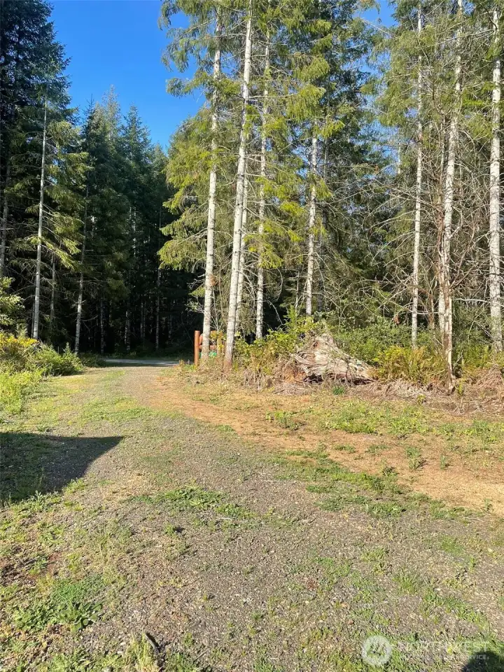 Looking back at the entrance from inside.