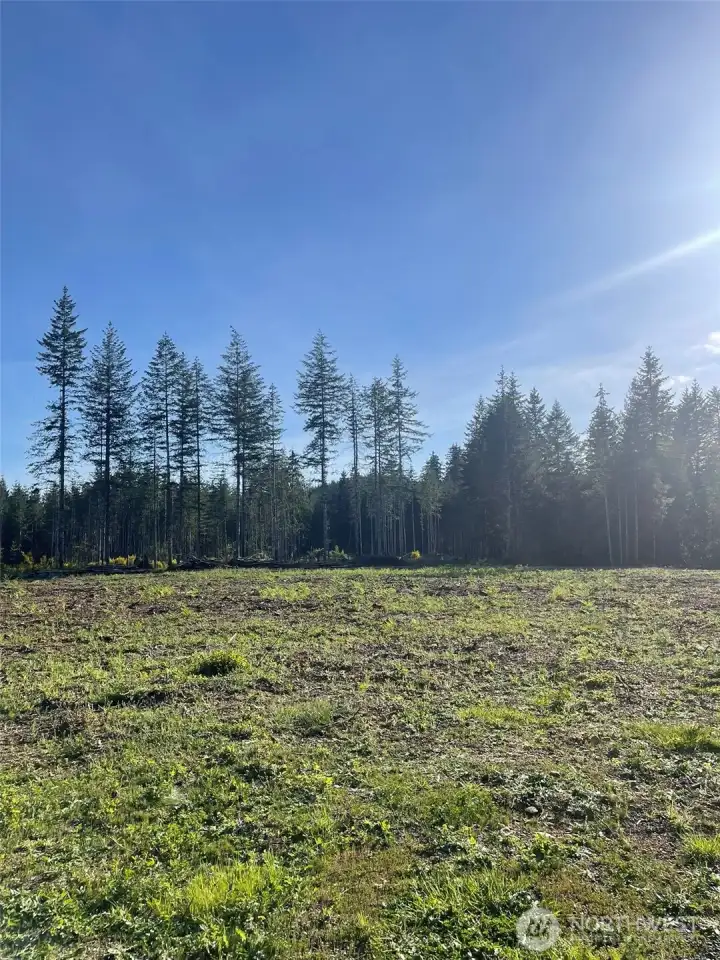 More view of the cleared area.